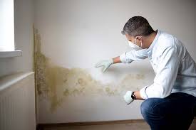 Forensic Mold Investigation in Bettendorf, IA